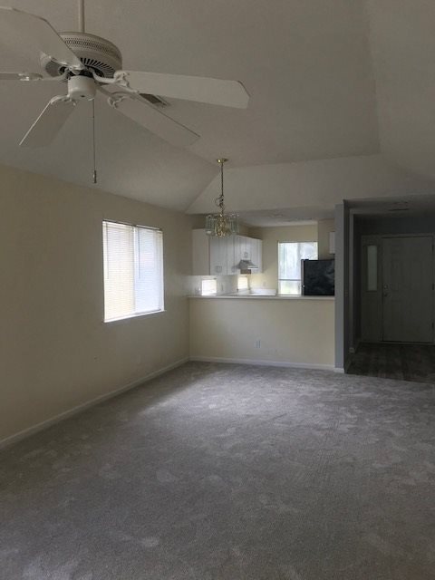 Gallery Photo 3